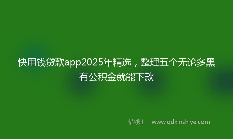 快用钱贷款app2025年精选，整理五个无论多黑有公积金就能下款