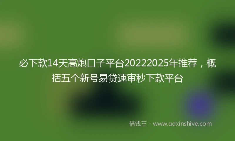 必下款14天高炮口子平台20222025年推荐，概括五个新号易贷速审秒下款平台