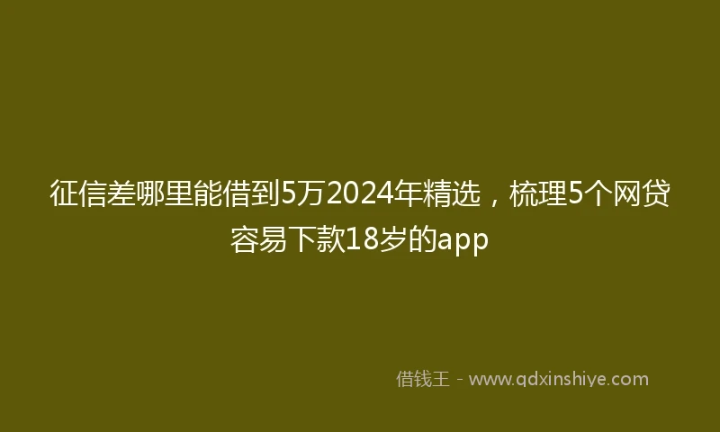 征信差哪里能借到5万2024年精选，梳理5个网贷容易下款18岁的app