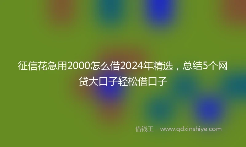 征信花急用2000怎么借2024年精选，总结5个网贷大口子轻松借口子