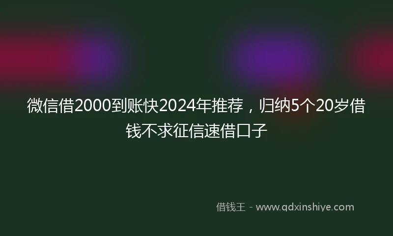 微信借2000到账快2024年推荐，归纳5个20岁借钱不求征信速借口子