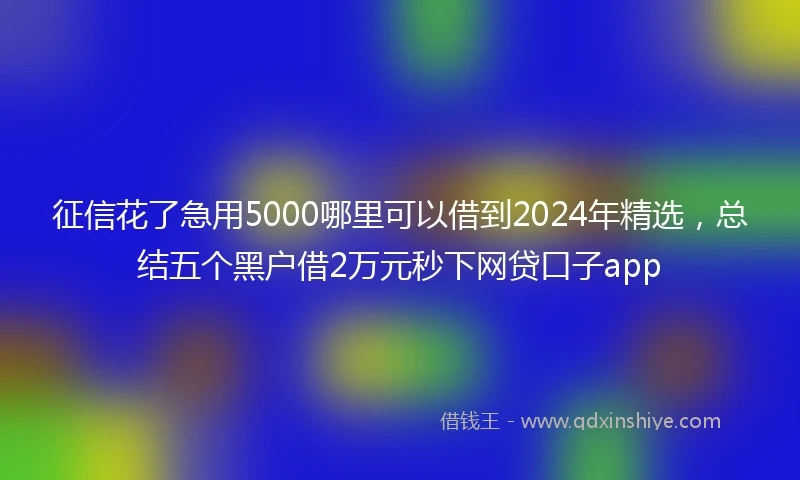 征信花了急用5000哪里可以借到2024年精选，总结五个黑户借2万元秒下网贷口子app