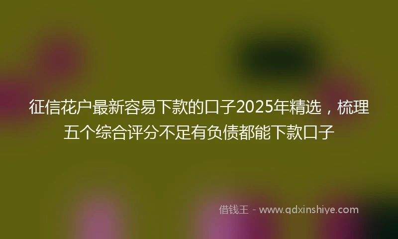 征信花户最新容易下款的口子2025年精选，梳理五个综合评分不足有负债都能下款口子