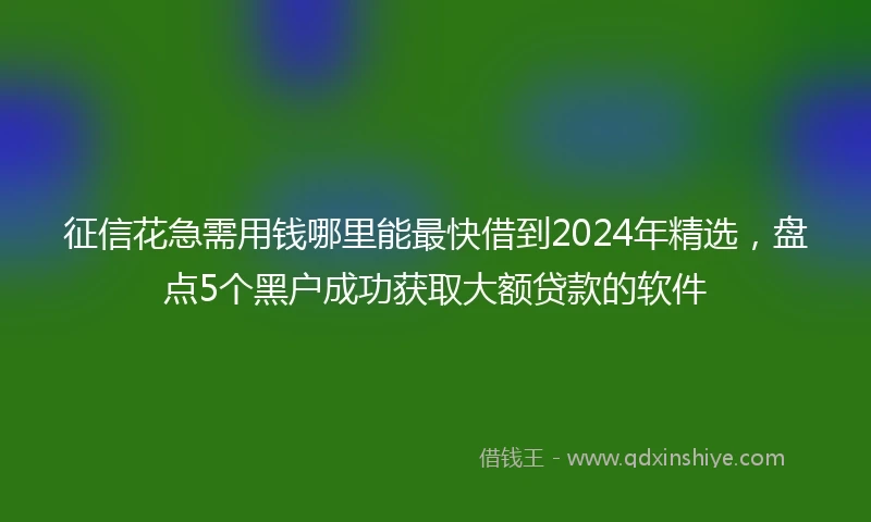 征信花急需用钱哪里能最快借到2024年精选，盘点5个黑户成功获取大额贷款的软件