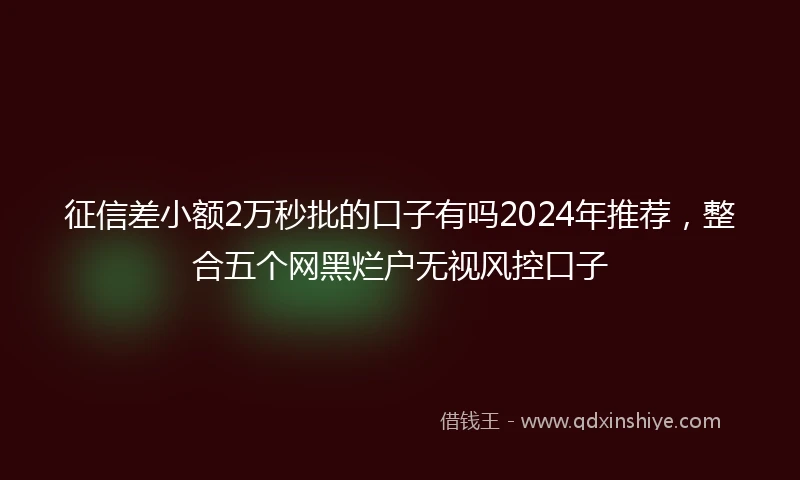 征信差小额2万秒批的口子有吗2024年推荐，整合五个网黑烂户无视风控口子