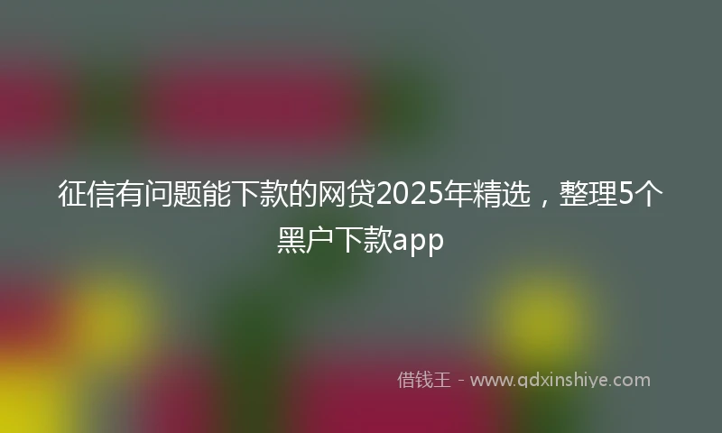 征信有问题能下款的网贷2025年精选，整理5个黑户下款app