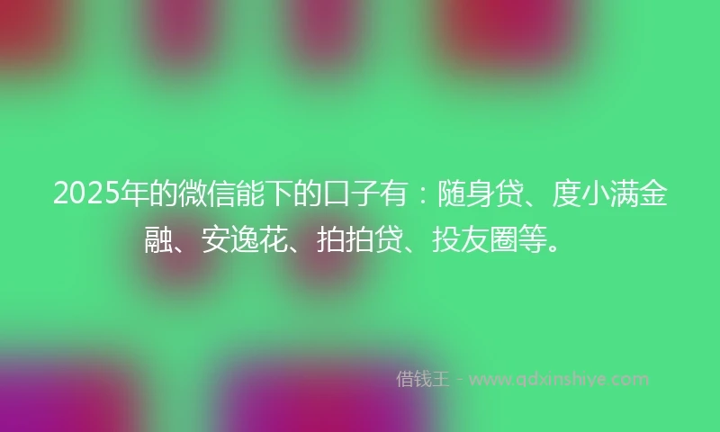 2025年的微信能下的口子有：随身贷、度小满金融、安逸花、拍拍贷、投友圈等。