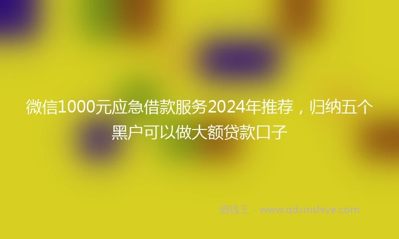 微信1000元应急借款服务2024年推荐，归纳五个黑户可以做大额贷款口子