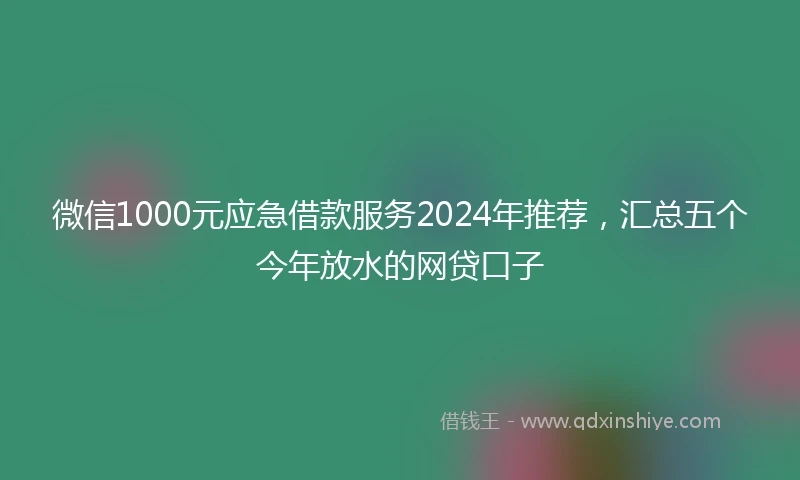 微信1000元应急借款服务2024年推荐，汇总五个今年放水的网贷口子