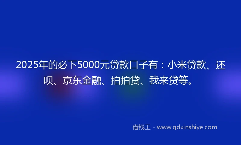2025年的必下5000元贷款口子有：小米贷款、还呗、京东金融、拍拍贷、我来贷等。