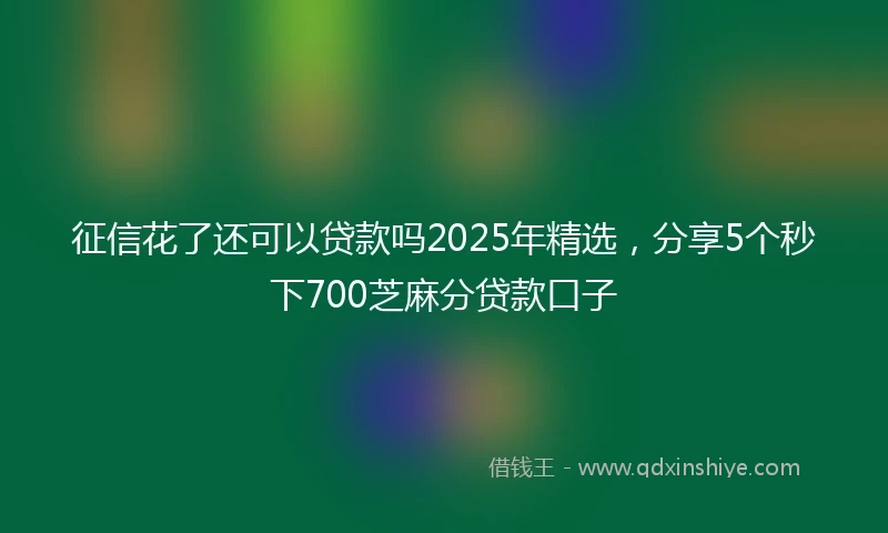 征信花了还可以贷款吗2025年精选，分享5个秒下700芝麻分贷款口子