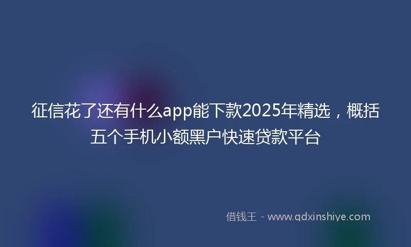 征信花了还有什么app能下款2025年精选，概括五个手机小额黑户快速贷款平台