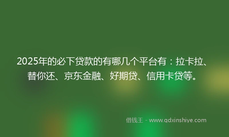 2025年的必下贷款的有哪几个平台有：拉卡拉、替你还、京东金融、好期贷、信用卡贷等。