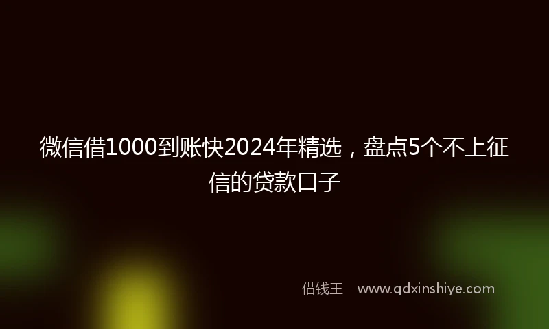 微信借1000到账快2024年精选，盘点5个不上征信的贷款口子