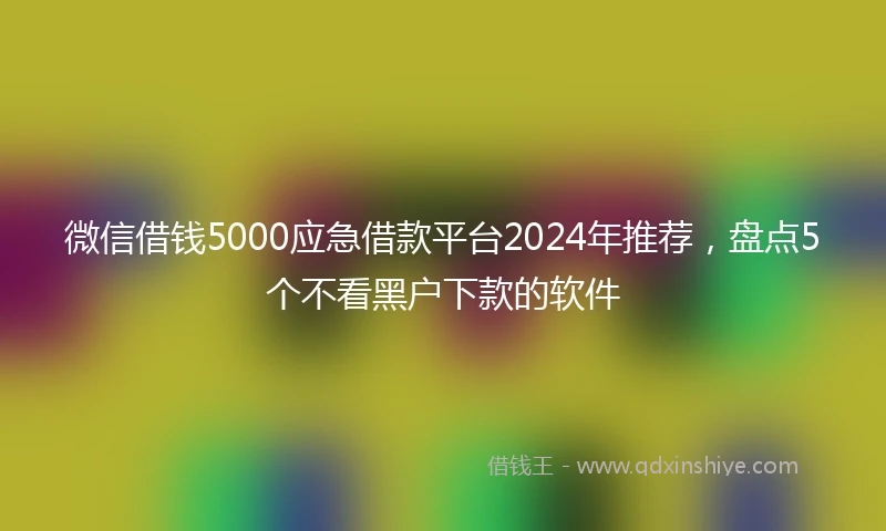 微信借钱5000应急借款平台2024年推荐，盘点5个不看黑户下款的软件