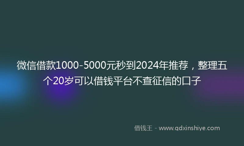 微信借款1000-5000元秒到2024年推荐，整理五个20岁可以借钱平台不查征信的口子