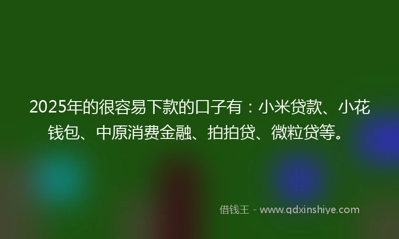 2025年的很容易下款的口子有：小米贷款、小花钱包、中原消费金融、拍拍贷、微粒贷等。