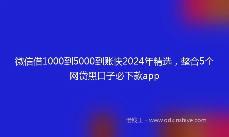 微信借1000到5000到账快2024年精选，整合5个网贷黑口子必下款app