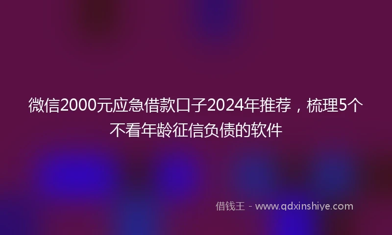 微信2000元应急借款口子2024年推荐，梳理5个不看年龄征信负债的软件