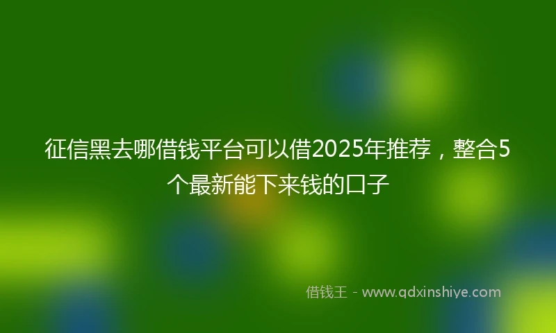 征信黑去哪借钱平台可以借2025年推荐，整合5个最新能下来钱的口子