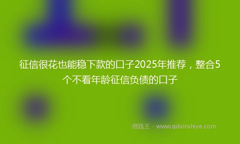 征信很花也能稳下款的口子2025年推荐，整合5个不看年龄征信负债的口子
