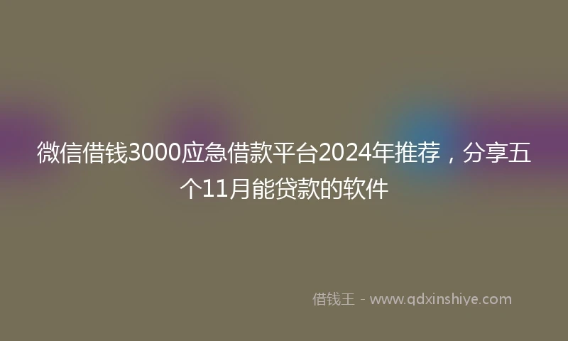 微信借钱3000应急借款平台2024年推荐，分享五个11月能贷款的软件