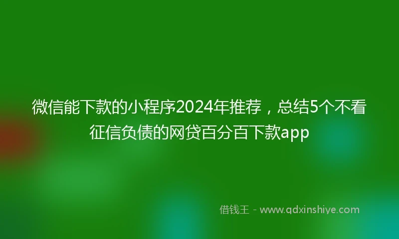 微信能下款的小程序2024年推荐,总结5个不看征信负债的网贷百分百下款app