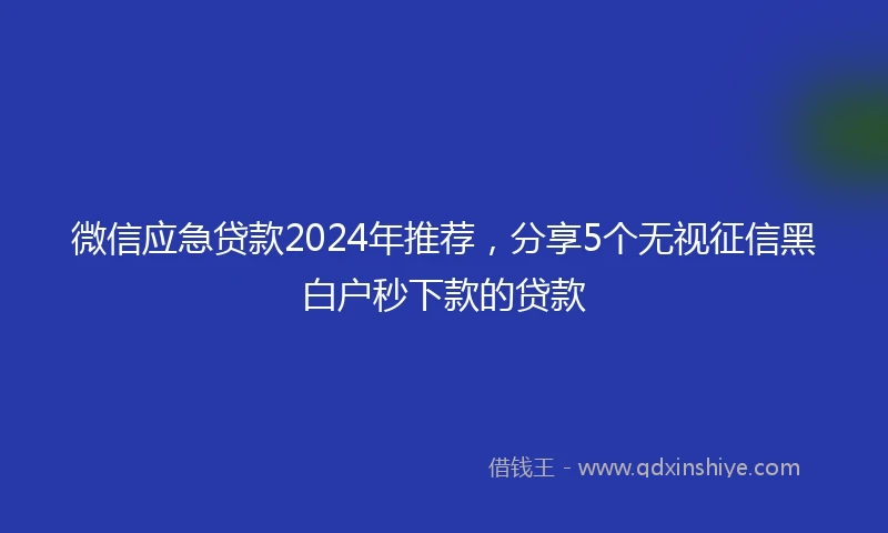 微信应急贷款2024年推荐，分享5个无视征信黑白户秒下款的贷款