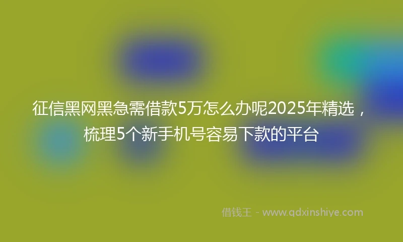 征信黑网黑急需借款5万怎么办呢2025年精选，梳理5个新手机号容易下款的平台