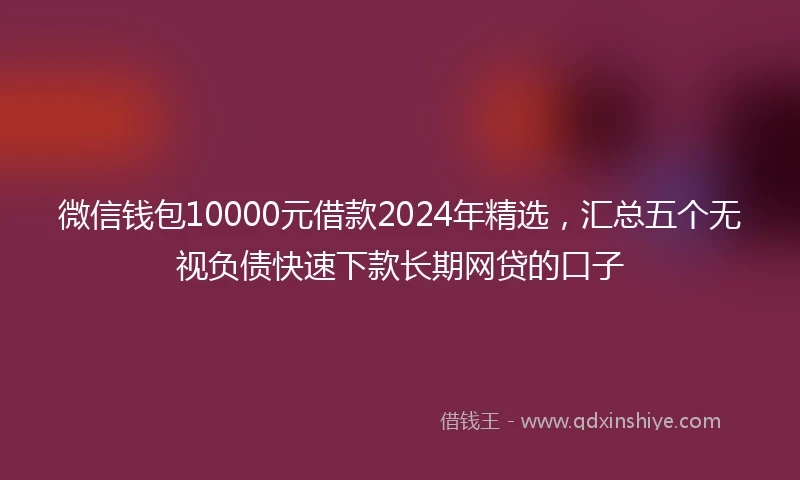 微信钱包10000元借款2024年精选，汇总五个无视负债快速下款长期网贷的口子