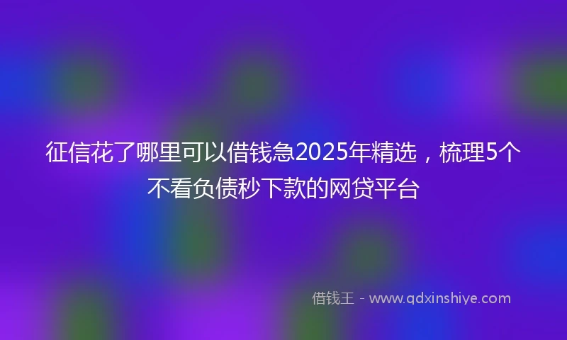 征信花了哪里可以借钱急2025年精选，梳理5个不看负债秒下款的网贷平台