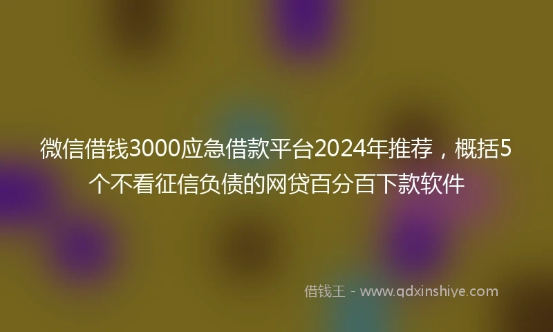 微信借钱3000应急借款平台2024年推荐，概括5个不看征信负债的网贷百分百下款软件