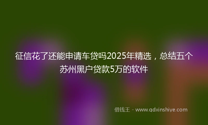 征信花了还能申请车贷吗2025年精选，总结五个苏州黑户贷款5万的软件