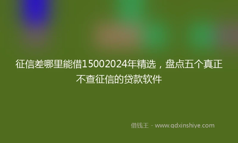 征信差哪里能借15002024年精选，盘点五个真正不查征信的贷款软件