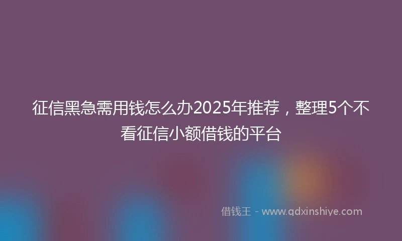 征信黑急需用钱怎么办2025年推荐，整理5个不看征信小额借钱的平台