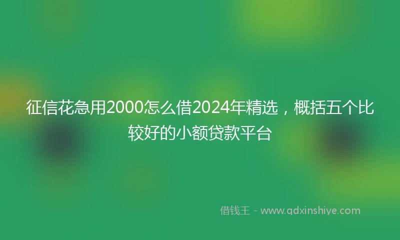 征信花急用2000怎么借2024年精选，概括五个比较好的小额贷款平台