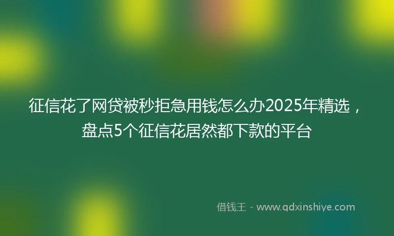 征信花了网贷被秒拒急用钱怎么办2025年精选，盘点5个征信花居然都下款的平台
