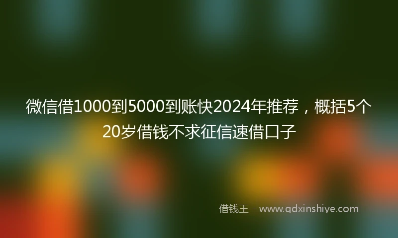 微信借1000到5000到账快2024年推荐，概括5个20岁借钱不求征信速借口子