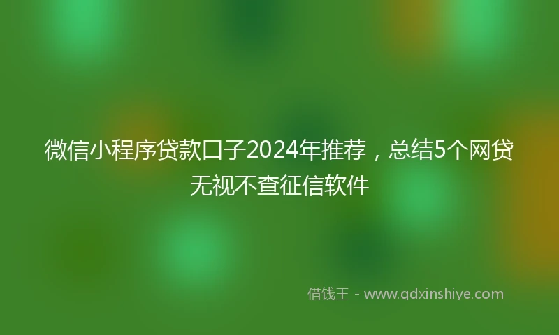 微信小程序贷款口子2024年推荐,总结5个网贷无视不查征信软件