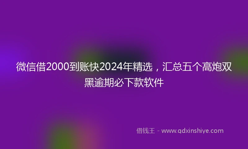 微信借2000到账快2024年精选，汇总五个高炮双黑逾期必下款软件