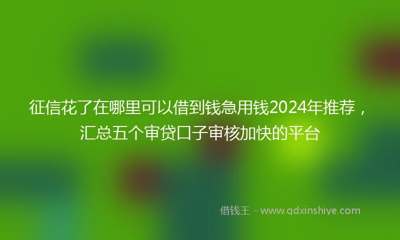 征信花了在哪里可以借到钱急用钱2024年推荐，汇总五个审贷口子审核加快的平台