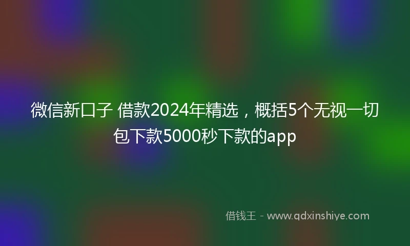 微信新口子 借款2024年精选,概括5个无视一切包下款5000秒下款的app
