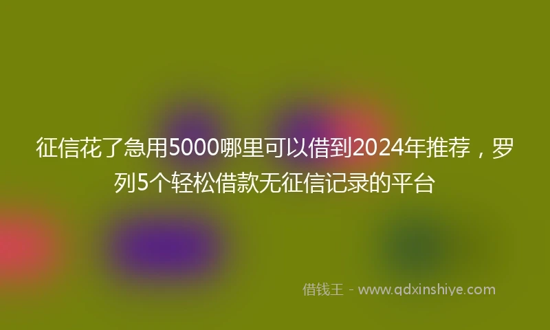 征信花了急用5000哪里可以借到2024年推荐，罗列5个轻松借款无征信记录的平台