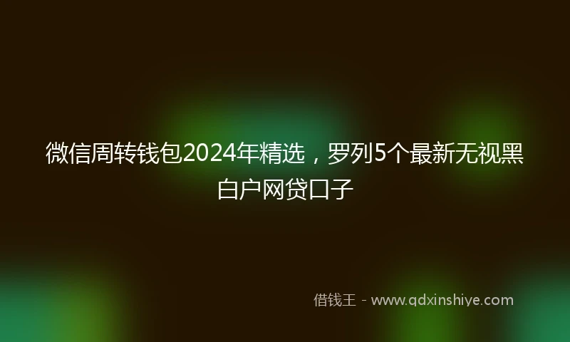 微信周转钱包2024年精选，罗列5个最新无视黑白户网贷口子
