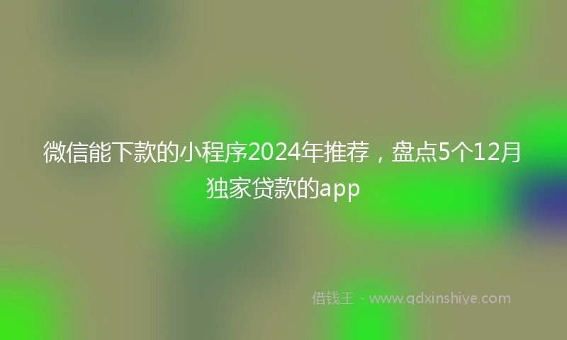 微信能下款的小程序2024年推荐,盘点5个12月独家贷款的app