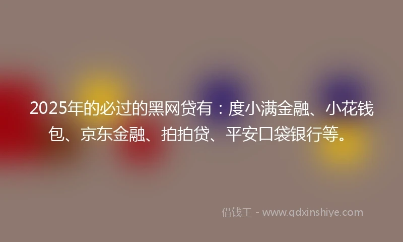 2025年的必过的黑网贷有：度小满金融、小花钱包、京东金融、拍拍贷、平安口袋银行等。