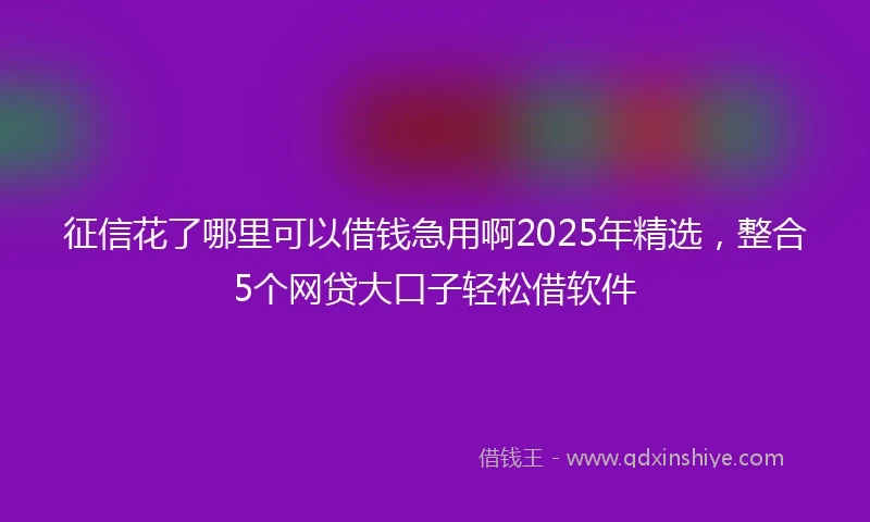 征信花了哪里可以借钱急用啊2025年精选，整合5个网贷大口子轻松借软件