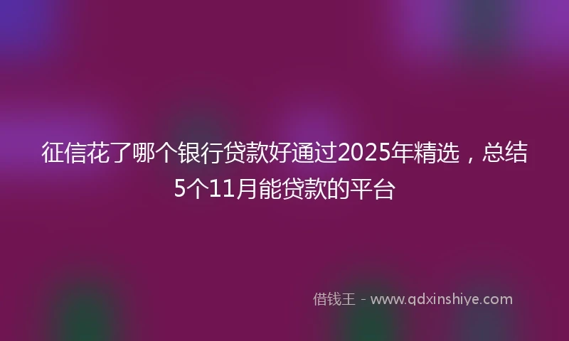 征信花了哪个银行贷款好通过2025年精选，总结5个11月能贷款的平台