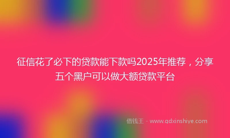 征信花了必下的贷款能下款吗2025年推荐，分享五个黑户可以做大额贷款平台