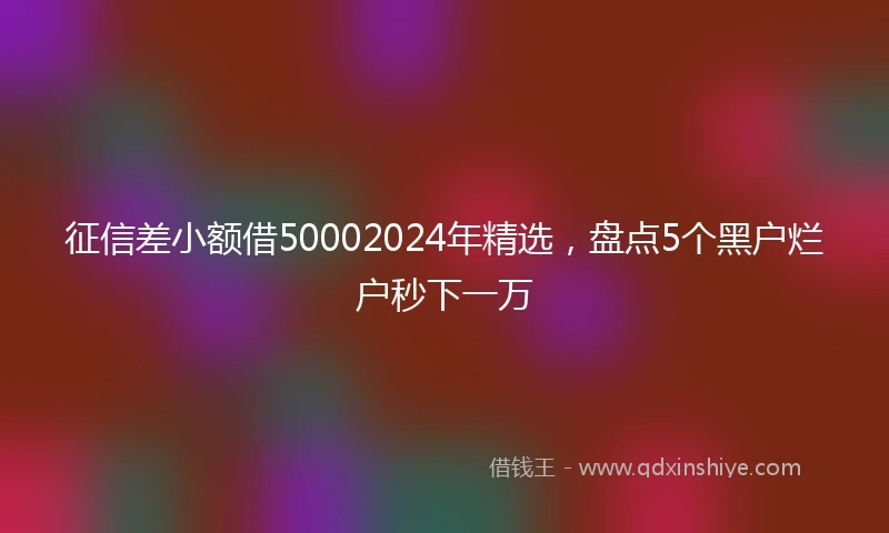 征信差小额借50002024年精选，盘点5个黑户烂户秒下一万